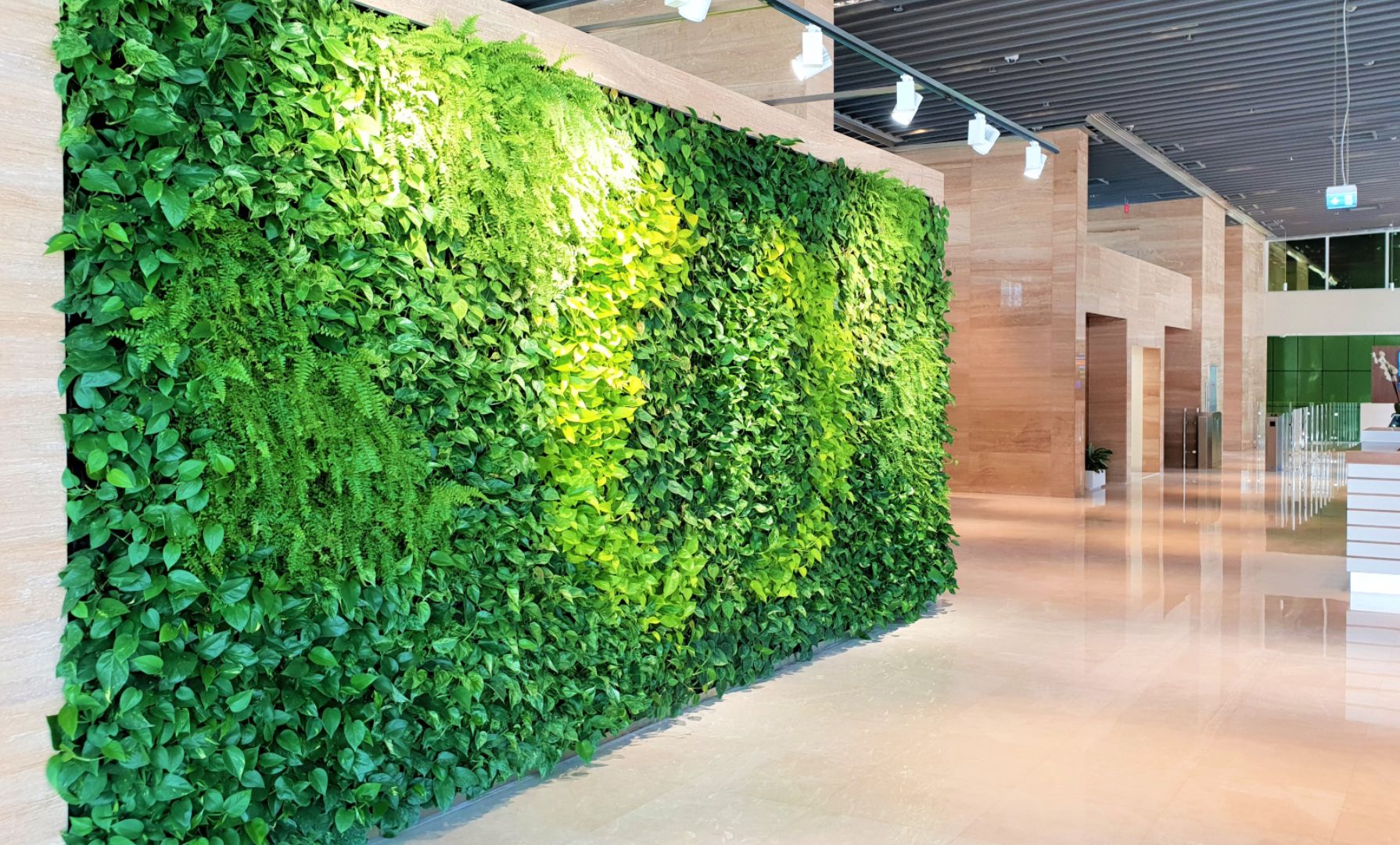 moss green wall in Dubai