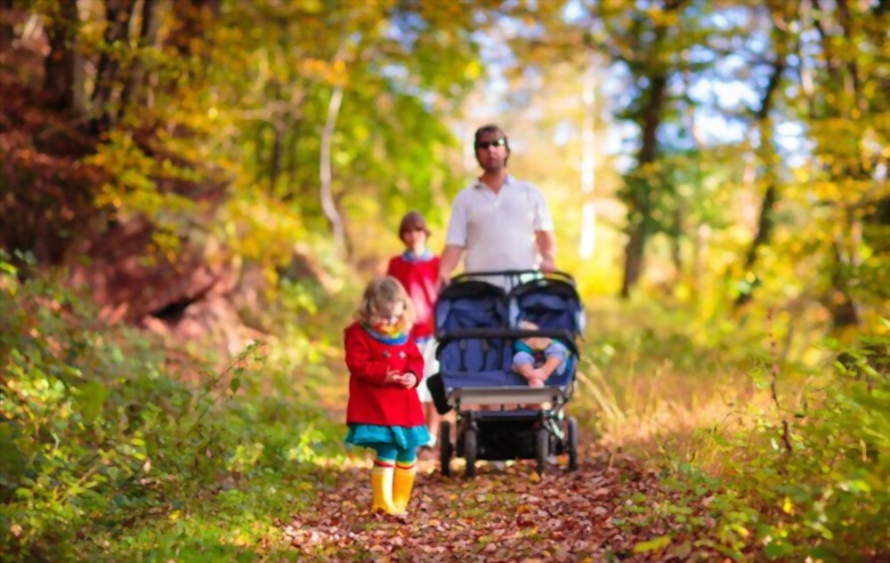 Baby Stroller