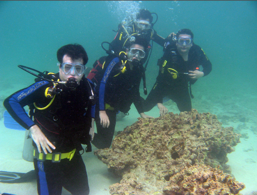 PADI DIVING DUBAI