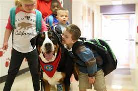 Everyone should be able to bring their pets to school.